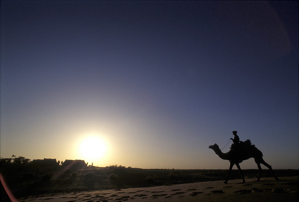 Desert Sentries 