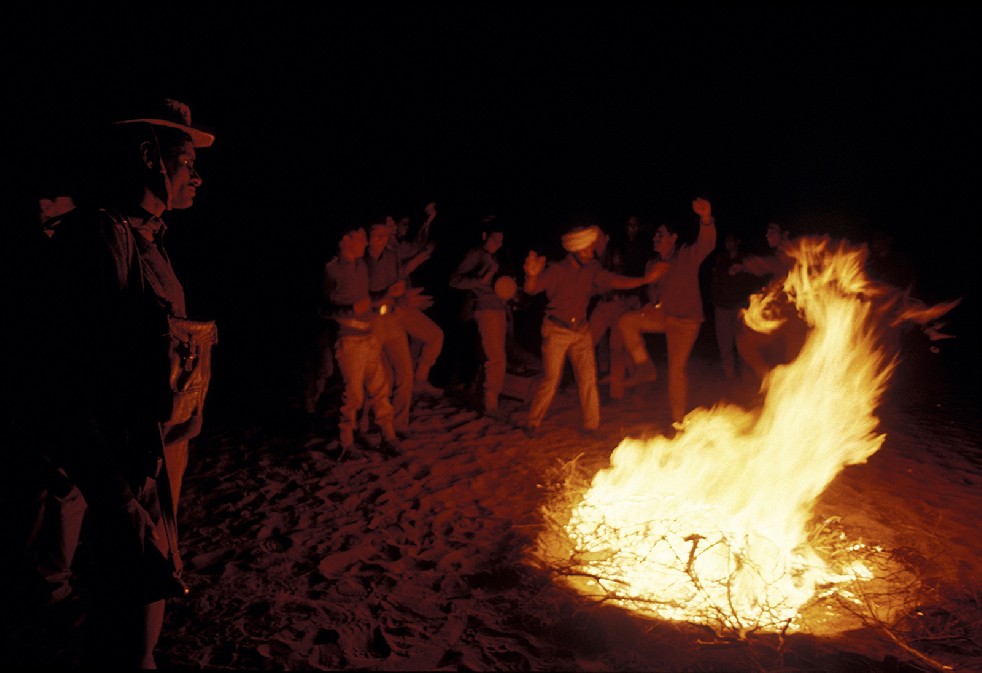 Desert Sentries 