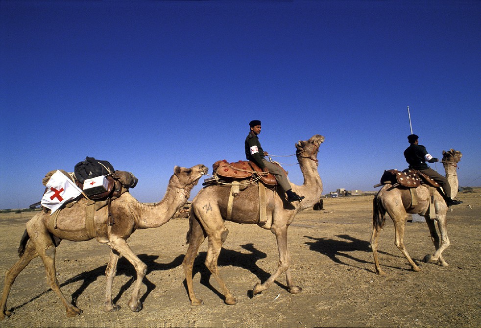 Desert Sentries 