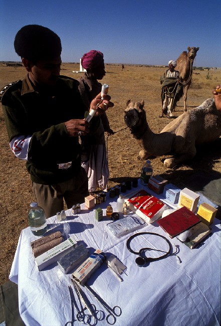 Desert Sentries 