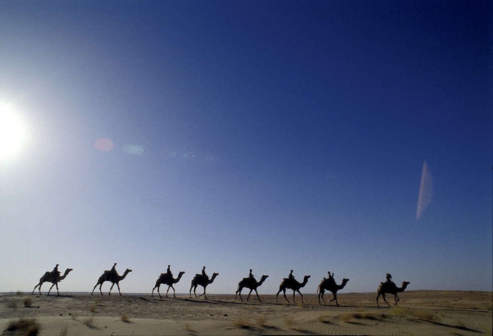 Desert Sentries 