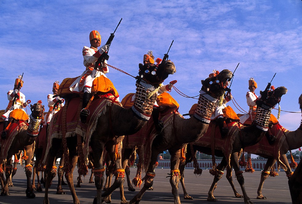 Desert Sentries 