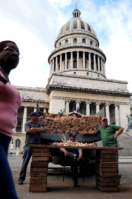 Cuba Forever 