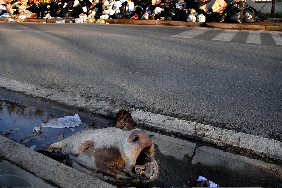 Naples rubbish crisis I 
