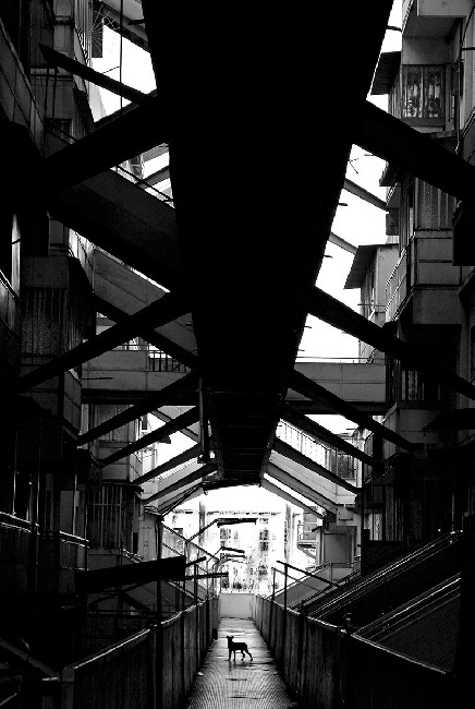 Scampia, No Man's Land 