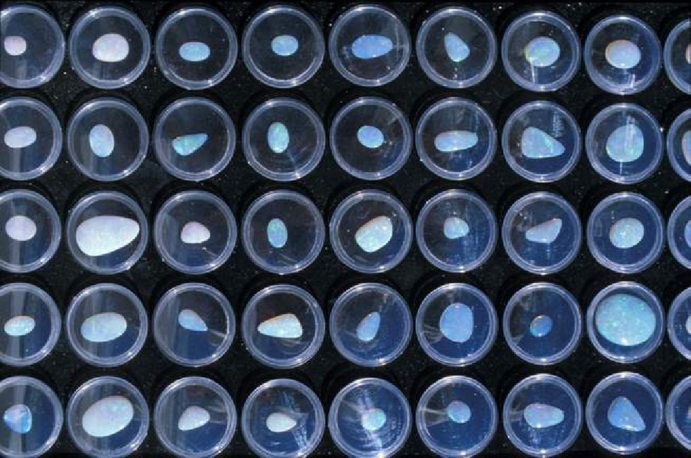 Opal Hunters 