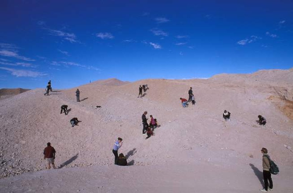 Opal Hunters 